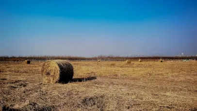 Casino Lucky Pants Bingo Mobil App